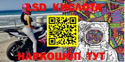 прущие крисы Партизанск
