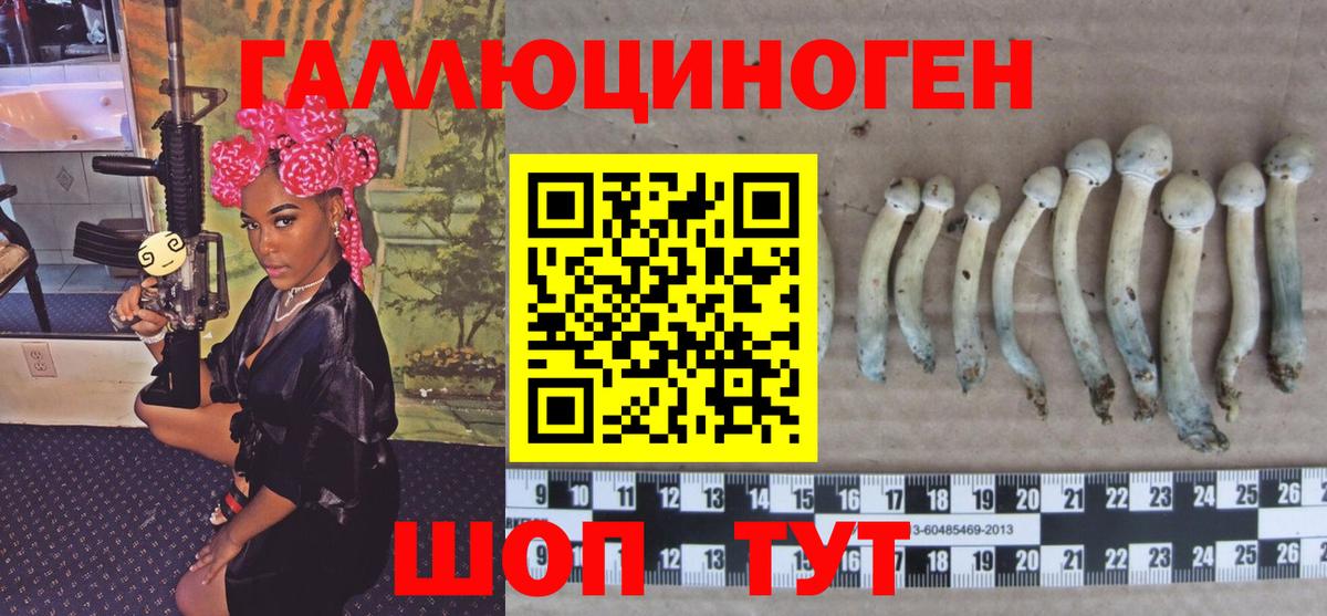Галлюциногенные грибы Cubensis Октябрьский