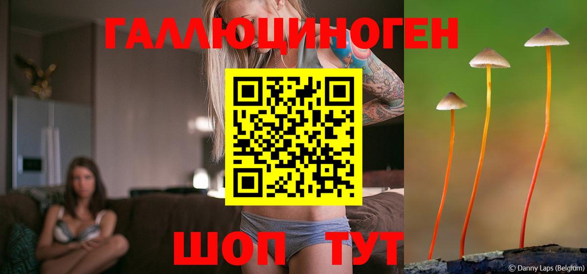 Псилоцибиновые грибы GOLDEN TEACHER  Вход с VPN  Октябрьский 